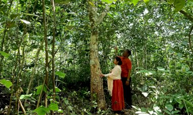 Wanita Muda Ini Ditemukan Suami dan Anaknya Tewas Tergantung di Pohon Karet