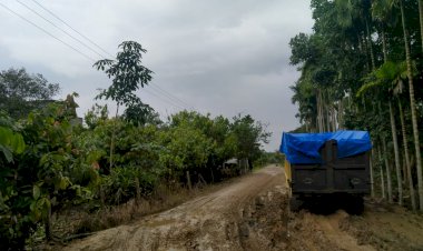 Pak Gubernur!! Puluhan Kilometer Jalan Provinsi di Muarojambi Rusak Parah