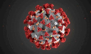 Satu Pasien Positif Corona di Indonesia Meninggal Dunia