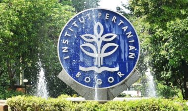 Walikota Bima Arya Sebut Satu Mahasiswa IPB Positif COVID-19: Sudah Dievakuasi ke Jakarta