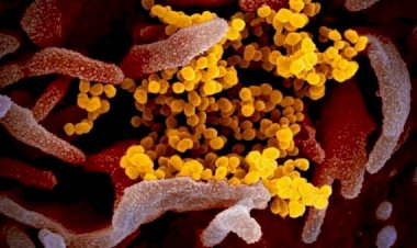 Empat Hari Dirawat, PDP Ini Meninggal Dunia