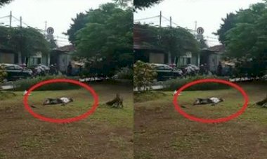 Pria Ini Tiba-tiba Terkapar, Suhu Tubuh Tinggi & Tak Ada Warga Berani Menolong