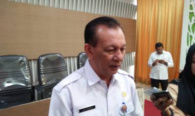 Sekda Dianto Sebut Titik Api Masih dalam Kategori Normal