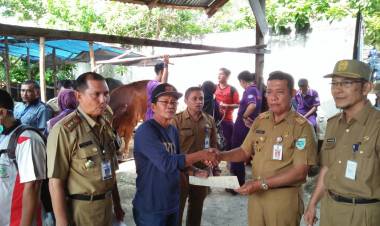 Dinas Peternakan Kota Jambi Periksa Hewan Kurban Secara Maraton