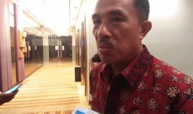 Kadis Perkebunan Provinsi Jambi Agusrizal Pesimis Replanting Karet Bisa Berjalan Maksimal 