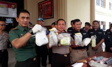 Berita Jambi Paling Update