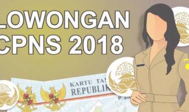 Pelamar CPNS Serbu Dinas Dukcapil Kabupaten Batanghari