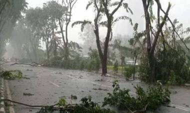 Waspada! Hujan Lebat Disertai Petir & Angin Kencang akan Melanda Jambi