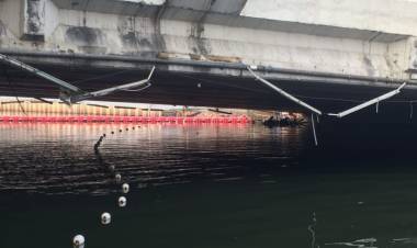 Lapor Pak Anies! Petugas Cemas Tiga Buaya Berkeliaran di Sungai Mal Mangga Dua