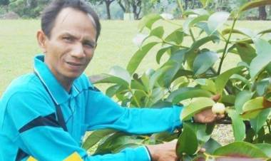 Keluarga Minta Tidak Ada Cerita Miring Terkait Kejadian Dartono