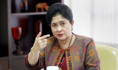 Isu Penyebaran Virus JE di Bali, Menkes Perintahkan Teliti