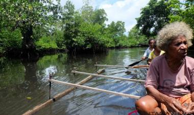 Mencicip Aibon Sumber Karbohidrat Dari Tanah Papua