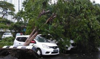 Sejumlah KRL Terganggu Akibat Pohon Tumbang, Hujan Es dan Hujan Badai