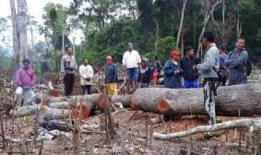 KLHK Buru Cukong Perambah Kawasan Hutan Bengkalis
