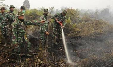 Ini Tujuan Dewan Buatkan Perda Gambut