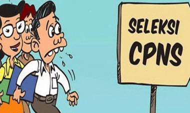 Seleksi SKB CPNS Batanghari Ditunda, Ini Penyebabnya…