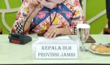 DLH Provinsi Jambi Terima 17 Pengaduan Dugaan Pencemaran dan Perusakan Lingkungan 