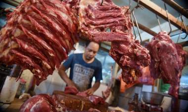 Asyik Impor Lagi! 2019, Indonesia bakal Masukkan 100 Ribu Ton Daging Kerbau India