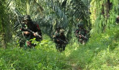 Lagi, Seorang Anggota TNI Tewas Diberondong KKB di Mapenduma Nduga