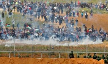 Biadab! Pasukan Israel Tembak Peternak-Petani Palestina di Sepanjang Perbatasan Gaza