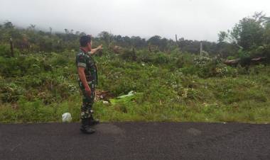 Lagi! Perambah Hutan Garap Wilayah Renah Alai Merangin