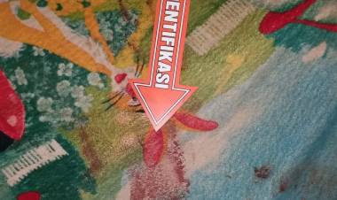 Tolak Permintaan "Gituan", PSK di Merangin Ini Tewas Dibunuh