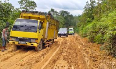 Angkutan PT BKS Sinar Mas Grup Picu Kerusakan Parah Jalan Air Hitam Sarolangun