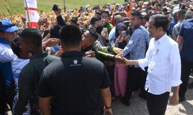 Jokowi Sebut 70 Juta Tanah Milik Belum Bersertifikat