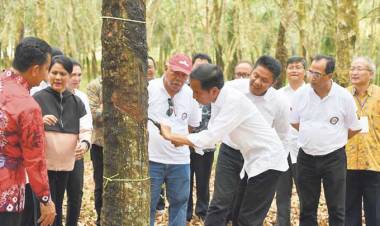 Herman Deru Sebut Presiden Setuju Pabrik Ban Berdiri di Sumsel