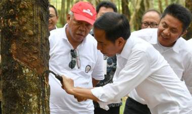 Jokowi: Program Karet Campuran Aspal Itu Segera akan Dilakukan