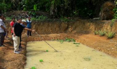 Ditinggal Sebentar, Bocah 5 Tahun Ditemukan Tewas di Kolam Ikan