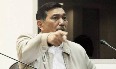 Nilai Diskriminasi Produk Sawit, Luhut: Pemerintah Sedang Kaji Boikot Produk Eropa