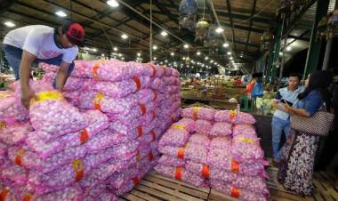 KPPU Selidiki Lambatnya Proses Izin Impor Bawang Putih