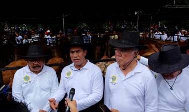 Warga Tagih Janji Menteri Pertanian Pengembangan Kembali Sapi di Konawe