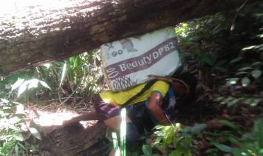 Melintas Hutan, Petugas Logistik Pemilu Pikul Kotak Suara Hingga 7 Jam