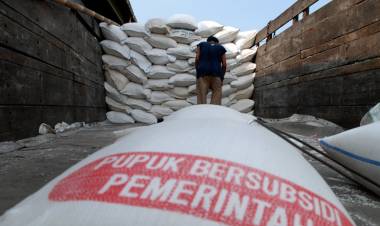 17,9 Ribu Ton untuk Muarojambi, Pupuk Bersubsidi Rawan Diselewengkan