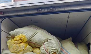 BNN Temukan 300 Kg Ganja Diselipkan di Antara Karung Limbah Medis B3