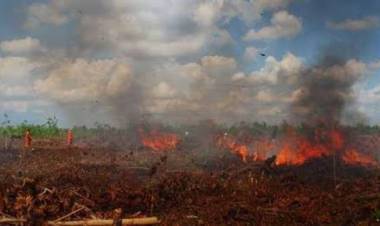 Prediksi Juni Masuk Awal Kemarau, Waspada Kebakaran Gambut