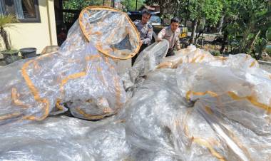 Terbangkan Puluhan Balon Udara Liar, Polisi Periksa Enam Pelaku