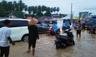 Longsor Terjang Padang Pariaman Seorang Tewas