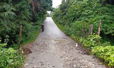 Jalan Empat Desa di Sarolangun Terancam Putus, Begini Kata PU