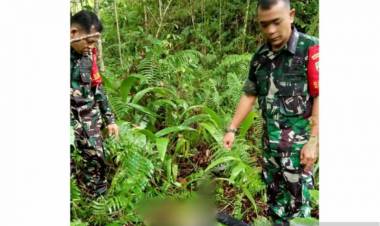 Pendamping Desa Ditemukan Tewas di Kebun Warga