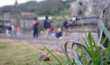 Embun Es Dieng yang Menawan dan Mengancam?