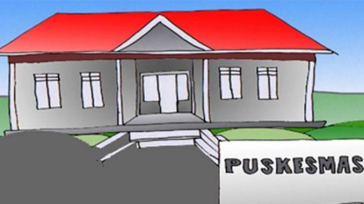 Lapor Ibu Bupati Masnah, Puskesmas di Kampungnya Agustian Mahir Hanya Dijaga Dua Tenaga Medis