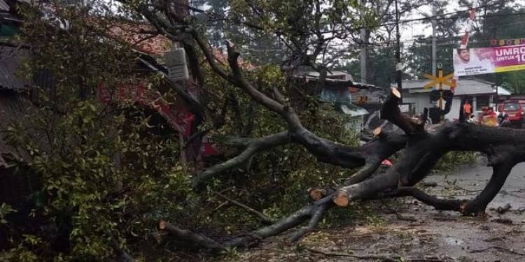 Puting beliung melanda Medan, pohon bertumbangan timpa mobil dan rumah