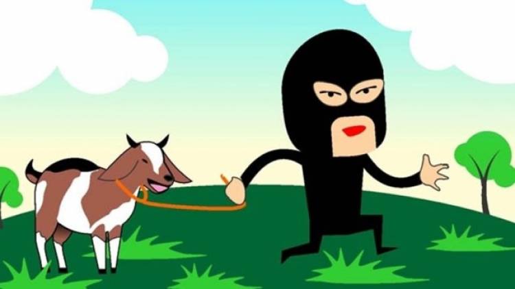 Kembali Terjadi Pencurian Ternak dengan Modus Meracuni