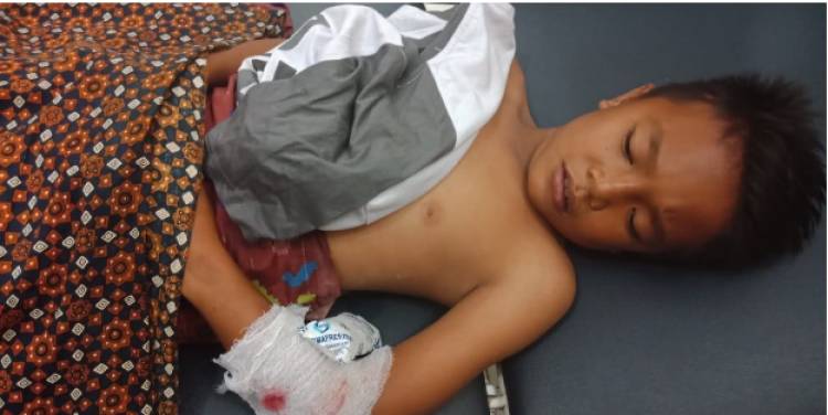 Bocah Kelas 6 SD Ditangkap Buaya di Sungai Teluk Dawan