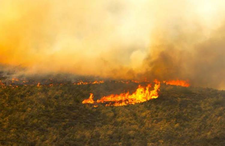 17 Titik Panas Terpantau di Jambi 