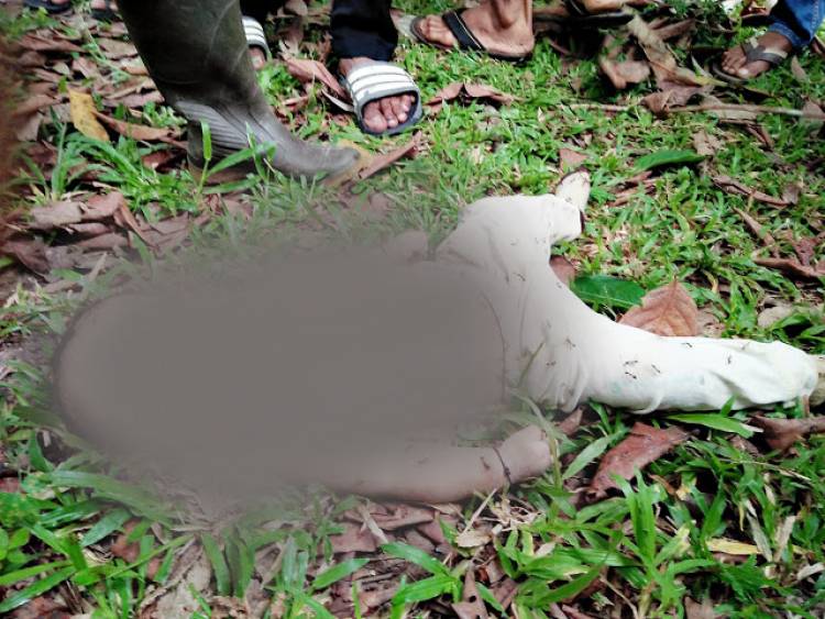 Dajal Temukan Bayi 8 Bulan di Tebo yang Tewas Digorok Ayah Kandungnya Sendiri