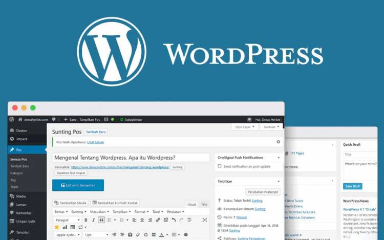 Mengenal Apa itu CMS WordPress